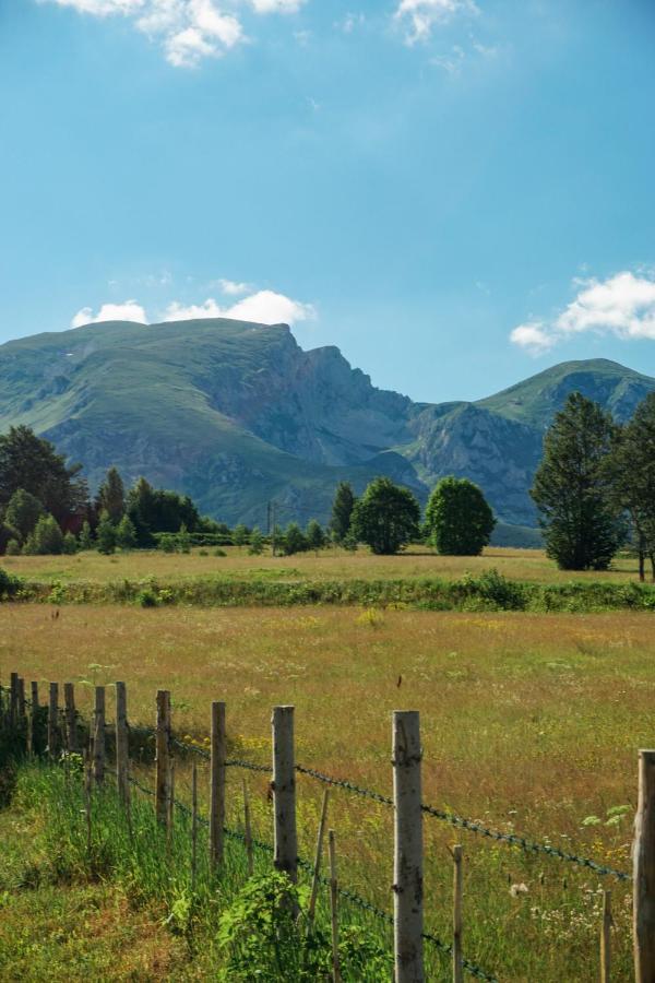 Vila Durmitor Nest Krstajic 자블야크 외부 사진