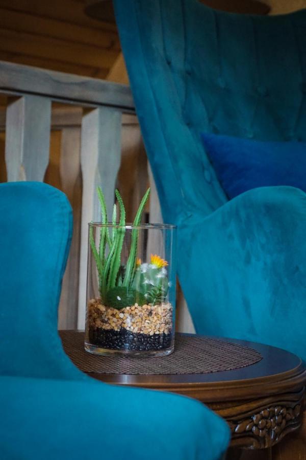 Vila Durmitor Nest Krstajic 자블야크 외부 사진