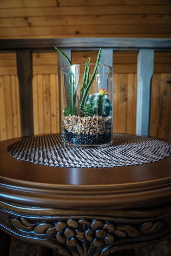 Vila Durmitor Nest Krstajic 자블야크 외부 사진