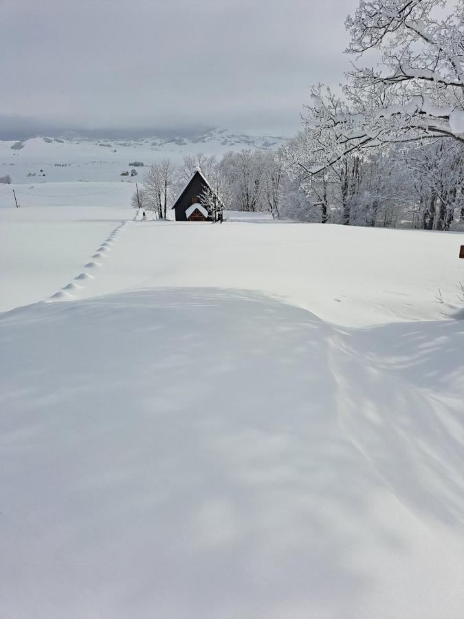 Vila Durmitor Nest Krstajic 자블야크 외부 사진