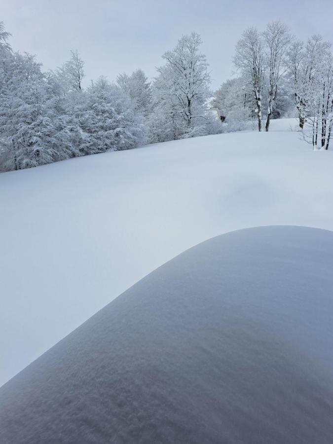 Vila Durmitor Nest Krstajic 자블야크 외부 사진