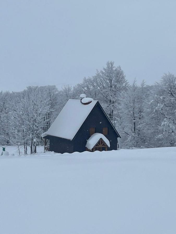 Vila Durmitor Nest Krstajic 자블야크 외부 사진